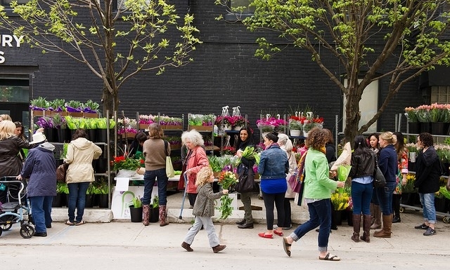 Toronto Flower Market