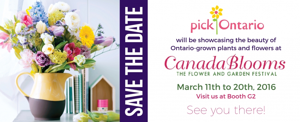 Canada Blooms 2016